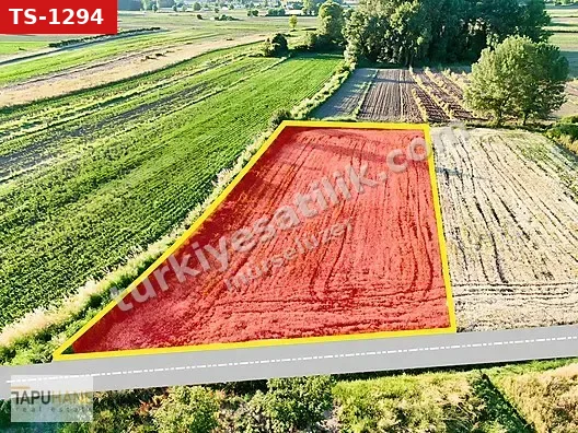 TAPUHANE'DEN Y. ÇALICADA 1382 M2 SATILIK TARLA
