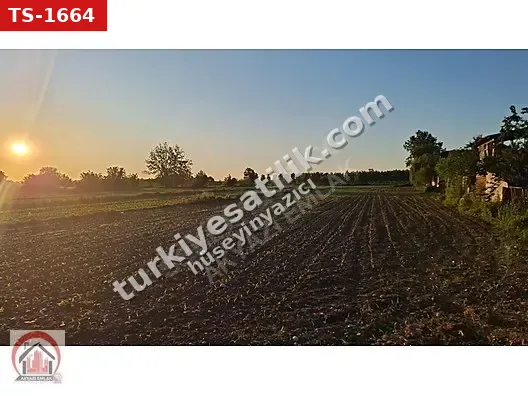 AKYAZI EMLAKTA KARAÇALILIK'TA İMAR SINIRINDA 4 DÖNÜM TARLA